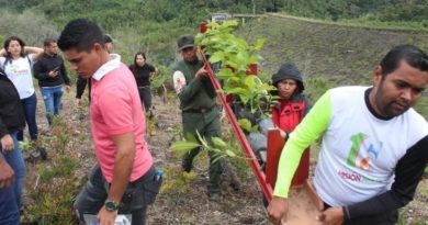 Activan línea de acción “Sembrando Vida” del Plan Nacional de Reforestación 2022-2023