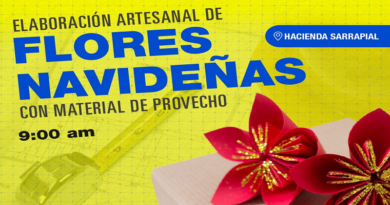 PDVSA La Estancia invita a elaboración Artesanal de Flores Navideñas