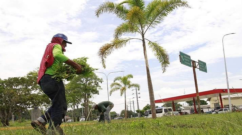 Inician labores de ornato en redoma de El Parador de Maturín