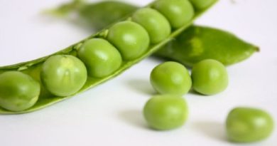 Científicos chinos mapean con precisión genomas de guisantes