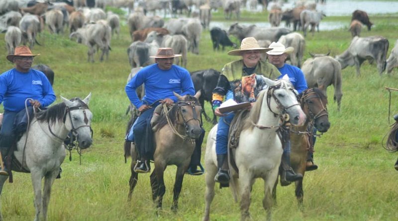 Expoturismo Apure 2022 proyectará potencialidades económicas en la región llanera