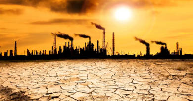 ONU alerta sobre aumento de temperatura global para fin de siglo