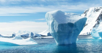 Océano Ártico registra acidificación debido a derretimiento de hielo marino
