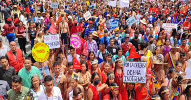 Pueblos originarios marchan en rechazo a medidas coercitivas contra Venezuela