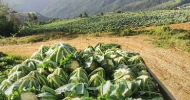 Sector agropecuario de Miranda recibe capacitación para fortalecer la producción