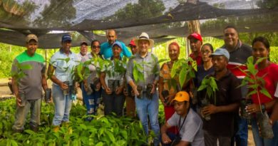 Activan primer vivero de cacao en Buroz estado Miranda