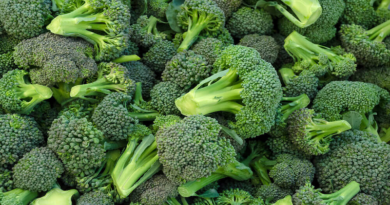 brócoli