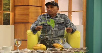 Cacaocultores de Acevedo buscan mejorar la calidad de producción local