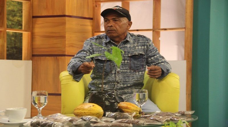 Cacaocultores de Acevedo buscan mejorar la calidad de producción local