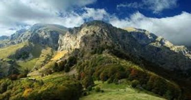 Descubren una nueva especie de insecto en Serbia