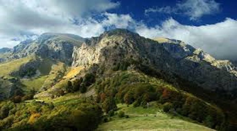 Descubren una nueva especie de insecto en Serbia