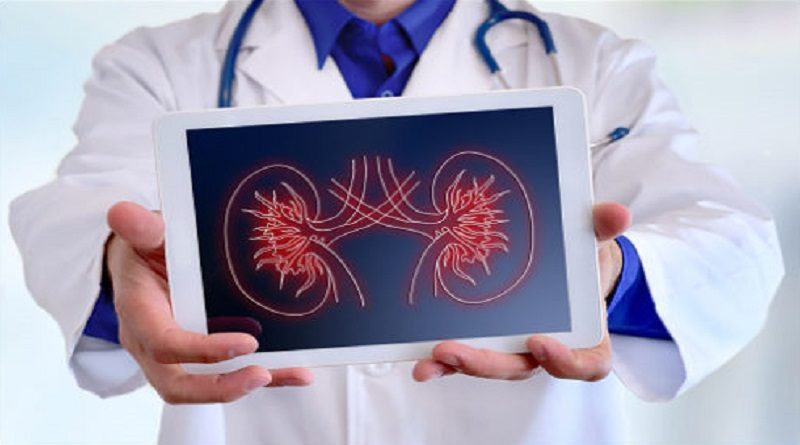 Científicos descubren la causa de la enfermedad renal crónica en adultos mayores
