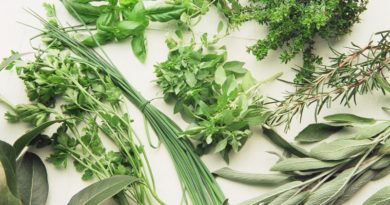 Estas hierbas naturales podrían afectar la salud