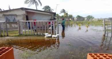 Familias en municipios afectados por las lluvias en Falcón recibieron atención de la Misión Alimentación