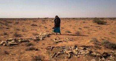 Intensa sequía afecta a ocho millones de personas en Somalia