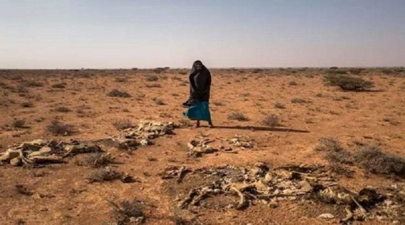 Intensa sequía afecta a ocho millones de personas en Somalia