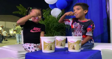 Nuevos sabores de helados ofrece Lácteos Los Andes
