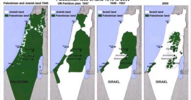 El mapa de Palestina que muestra la ocupación israelí durante décadas (Foto agencias)