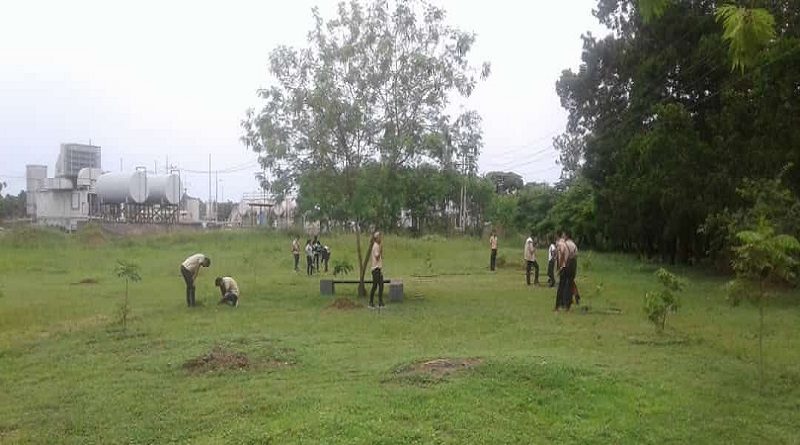 Siembran 500 plantas en comunidad de Amazonas