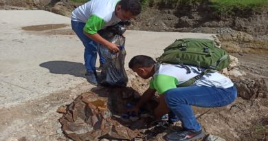 Misión Árbol Aragua mantiene despliegue en la Tejerías