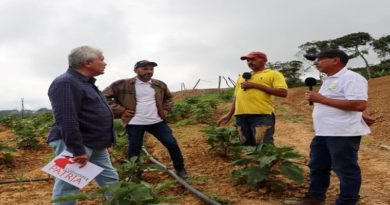 Políticas públicas del Gobierno Nacional se basan en siembra en pequeña escala y alto rendimiento