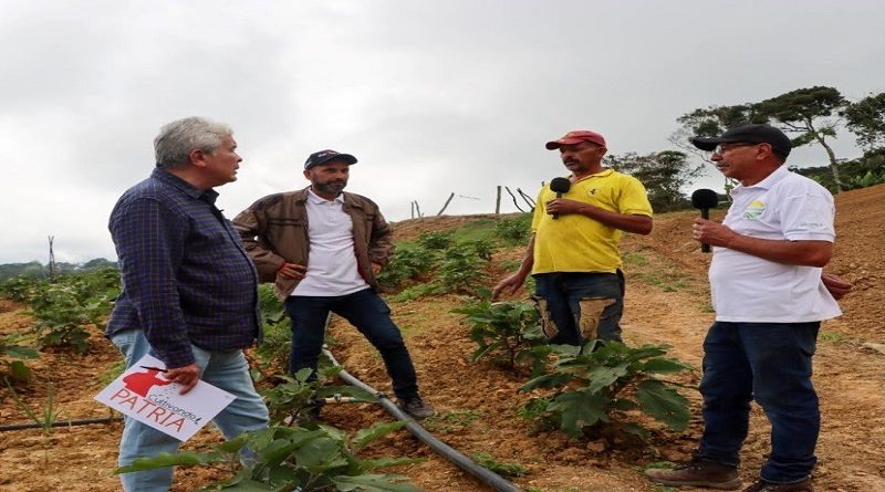 Políticas públicas del Gobierno Nacional se basan en siembra en pequeña escala y alto rendimiento
