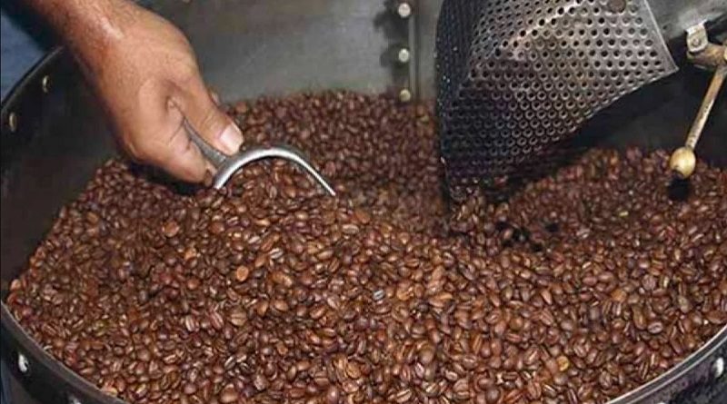 Inauguran ruta turística Café El Caballito 2022 en Lara