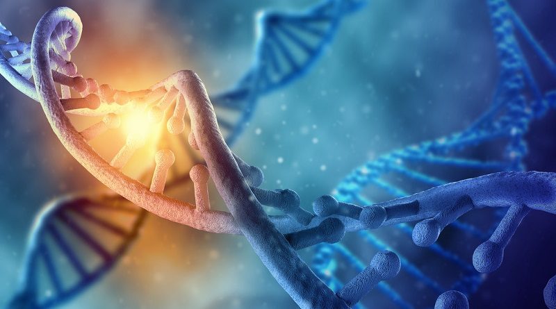 ADN revela la historia oculta de la evolución humana