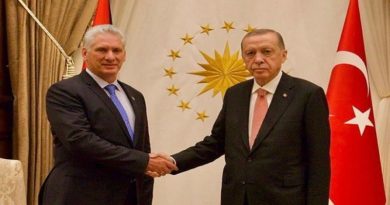 Presidente de Cuba se reúne con su homólogo de Türkiye para avanzar en relaciones bilaterales