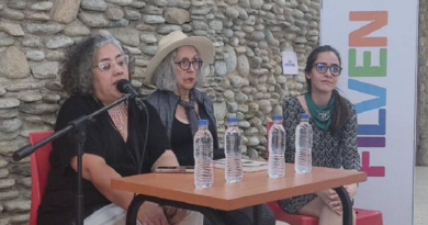 La Araña Feminista Opina obra presente en Filven