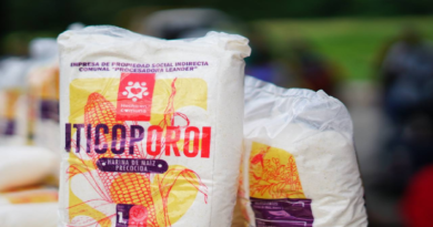 Marca Hecho en Comuna produce harina de maíz en Barinas