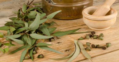 Plantas medicinales que podrían ayudar a combatir las molestias generadas por la artritis y artrosis