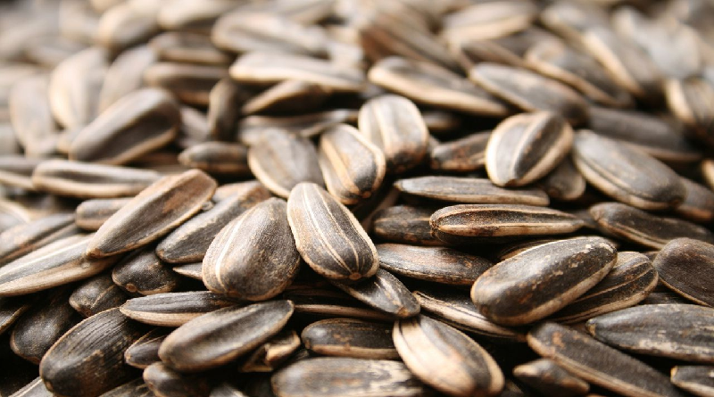 Estas semillas reducen el colesterol y mejoran la salud ósea