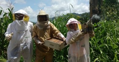 Mieles Alviario dice presente en la Expoferia Café Flores y Miel Miranda 2022
