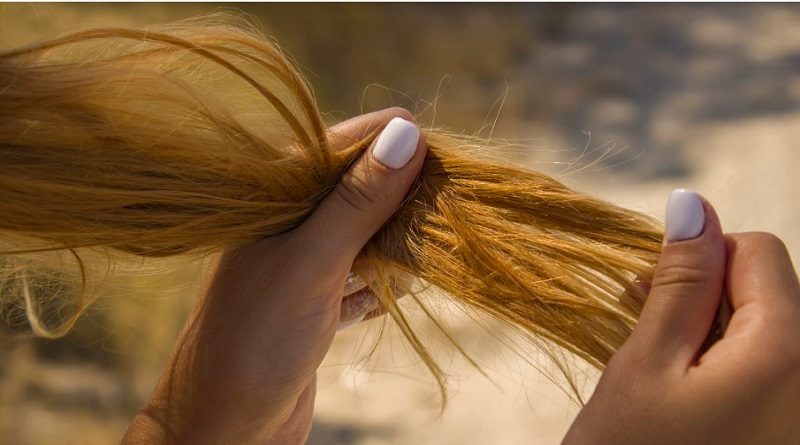 Tratamientos caseros contra el cabello seco