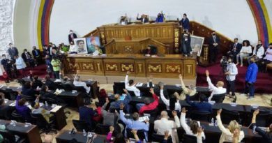 Aprobado en primera discusión proyecto de reforma de la Ley de Consejos Comunales