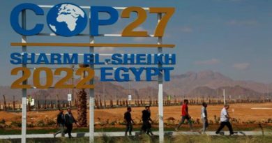 Egipto acoge la COP27 y Emiratos Árabes la próxima Cumbre del Clima COP28