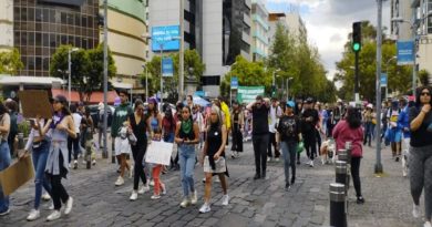 Fenocin suspende paro en espera de decreto de condonación de deudas
