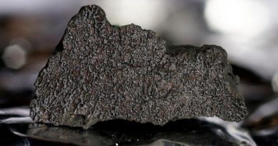Meteorito de 4.600 millones de años revela origen de los océanos y la vida en la Tierra