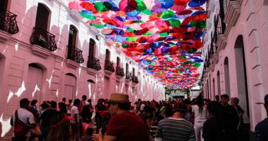 Museo de arquitectura Juan Pedro Posani recorrerá centro histórico hasta el museo de Caracas