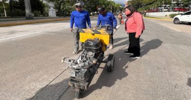 Realizan trabajos de mantenimiento en el paseo Los Próceres