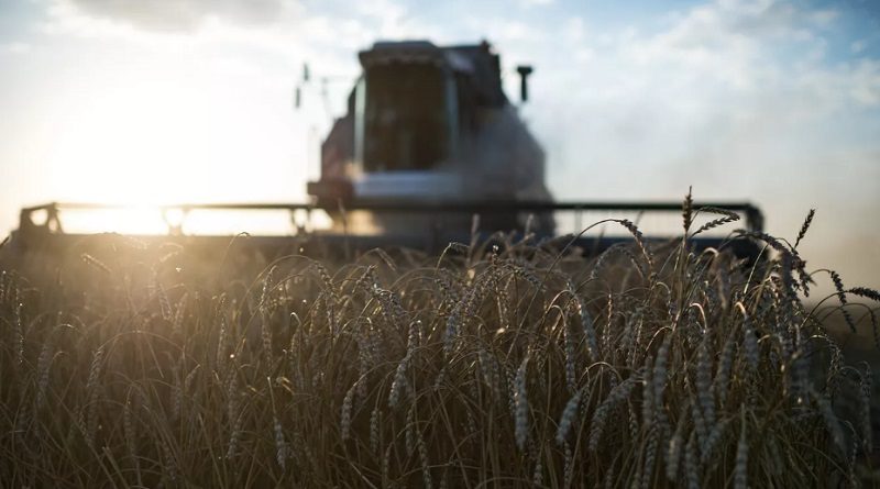 Rusia, Türkiye y la ONU extienden pacto alimentario