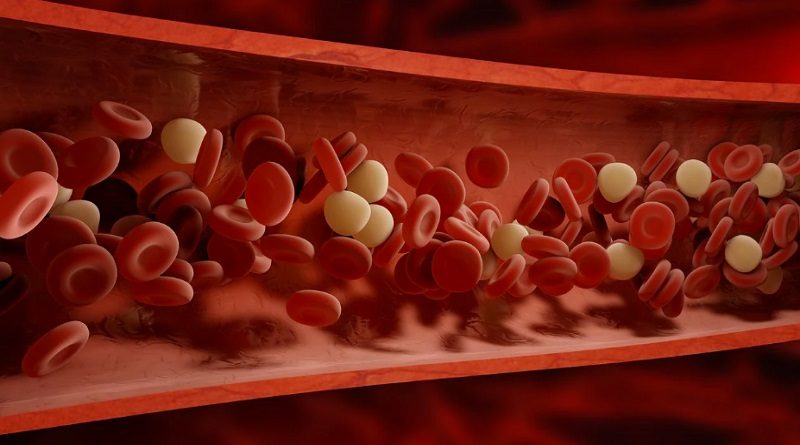 Cinco hábitos que ayudan a limpiar la sangre
