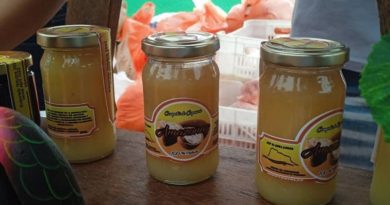 Inauguran mercado navideño en la plaza Bolívar de Puerto Ayacucho