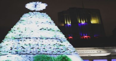 Inauguran primer Árbol de Navidad ecológico en Caracas﻿