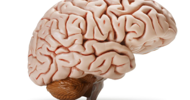 Estos son los mitos y verdades sobre la salud mental
