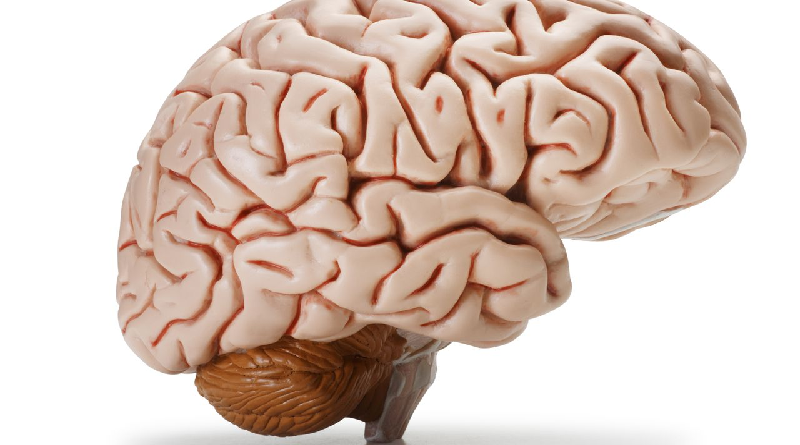 Estos son los mitos y verdades sobre la salud mental
