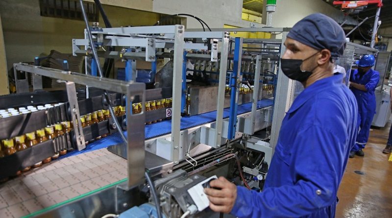 Jefe de Estado invita a seguir juntos hacia la diversificación de la economía