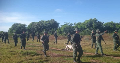 FANB realiza operativos contra minería ilegal y robo de ganado