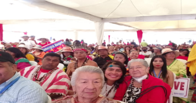 Vicepresidente Ejecutiva exhorta a pueblos indígenas del mundo unir esfuerzo en defensa de la tierra